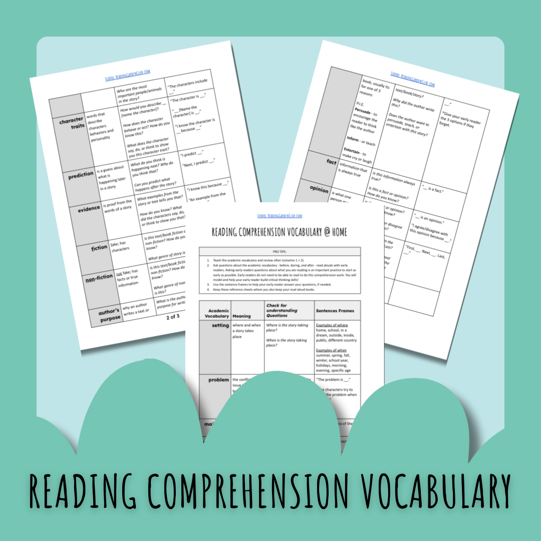 Reading Comprehension Vocabulary