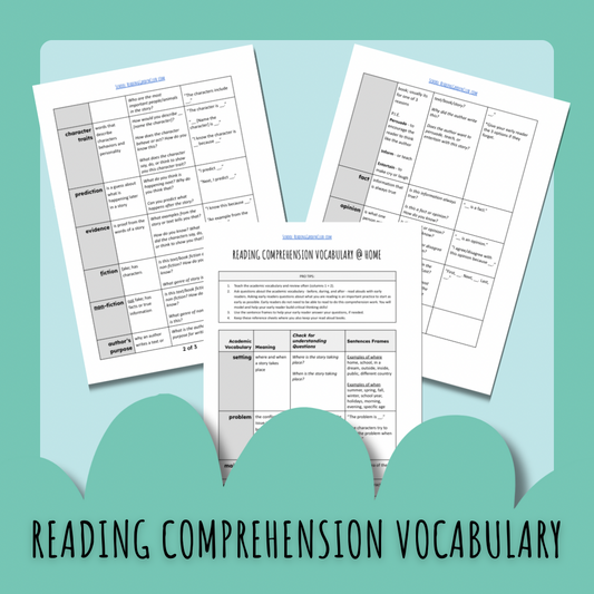 Reading Comprehension Vocabulary